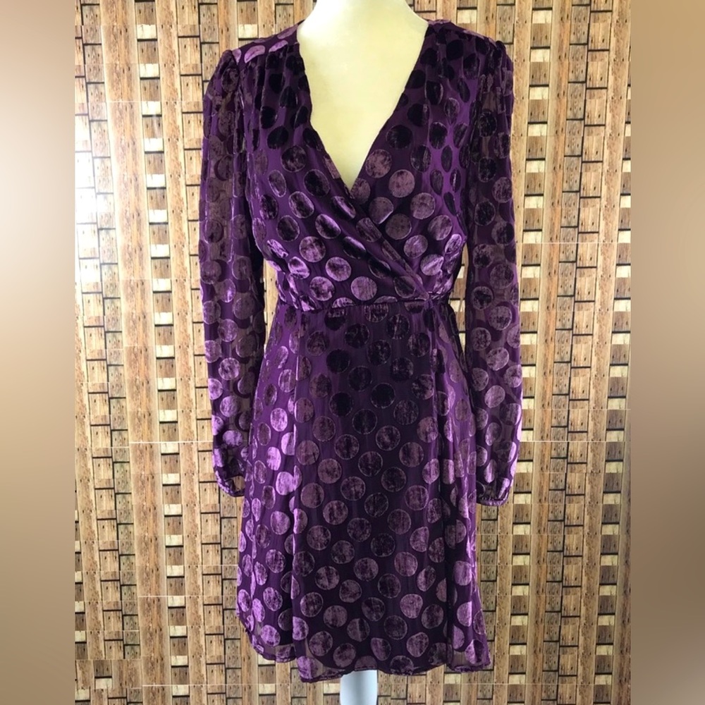 Betsy Johnson Velvet Polka Dot Dress